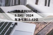 沐邦高科(603398.SH)：2024年净亏损11.62亿元