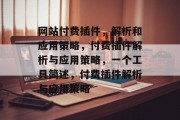 网站付费插件，解析和应用策略，付费插件解析与应用策略，一个工具简述，付费插件解析与应用策略