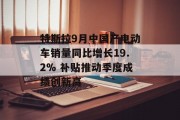 特斯拉9月中国产电动车销量同比增长19.2% 补贴推动季度成绩创新高