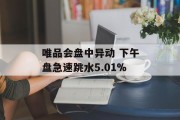 唯品会盘中异动 下午盘急速跳水5.01%