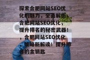 探索合肥网站SEO优化的魅力，全面解析，合肥网站SEO优化，提升排名的秘密武器！，合肥网站SEO优化，策略新解读！提升排名的金钥匙