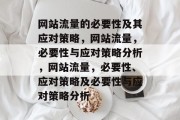 网站流量的必要性及其应对策略，网站流量，必要性与应对策略分析，网站流量，必要性、应对策略及必要性与应对策略分析
