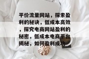 平价流量网站，探索盈利的秘诀，低成本高效，探究电商网站盈利的秘密，低成本电商平台揭秘，如何盈利成功