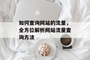 如何查询网站的流量，全方位解析网站流量查询方法