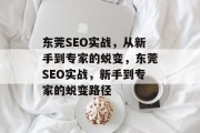 东莞SEO实战，从新手到专家的蜕变，东莞SEO实战，新手到专家的蜕变路径