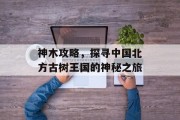 神木攻略，探寻中国北方古树王国的神秘之旅