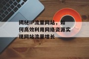 揭秘IP流量网站，如何高效利用网络资源实现网站流量增长