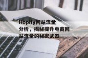 Hopify网站流量分析，揭秘提升电商网站流量的秘密武器