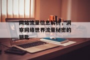 网站流量信息解析，洞察网络世界流量秘密的钥匙