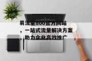 易流量800官方网站，一站式流量解决方案，助力企业高效推广