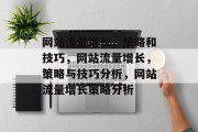 网站流量增长，策略和技巧，网站流量增长，策略与技巧分析，网站流量增长策略分析