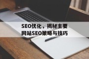 SEO优化，揭秘主要网站SEO策略与技巧