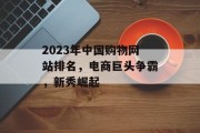 2023年中国购物网站排名，电商巨头争霸，新秀崛起