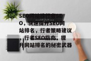 SEO网站找行者SEO，快速提升SEO网站排名，行者策略建议，行者SEO指南，提升网站排名的秘密武器
