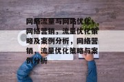 网络流量与网站优化，网络营销，流量优化策略及案例分析，网络营销，流量优化策略与案例分析