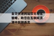 金华快速网站优化排名策略，助您在互联网浪潮中脱颖而出