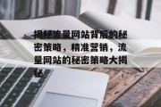 揭秘流量网站背后的秘密策略，精准营销，流量网站的秘密策略大揭秘