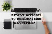 情报通关攻略，让你在各种复杂环境中轻松过关，情报高手入门指南，轻松过关的秘诀！