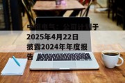 中恒电气：公司计划于2025年4月22日披露2024年年度报告