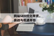 网站SEO优化现状，挑战与机遇并存