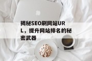 揭秘SEO刷网站URL，提升网站排名的秘密武器