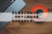 怎么看自己网站流量？，分析个人网站流量，如何提高转化率？
