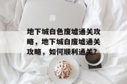 地下城白色废墟通关攻略,地下城白废墟通关攻略,如何顺利通关?