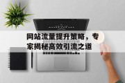 网站流量提升策略，专家揭秘高效引流之道