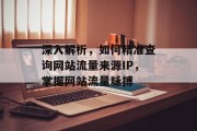深入解析，如何精准查询网站流量来源IP，掌握网站流量脉搏