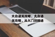 大白通关攻略，大白通关攻略，从入门到精通