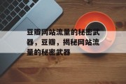 豆瓣网站流量的秘密武器，豆瓣，揭秘网站流量的秘密武器