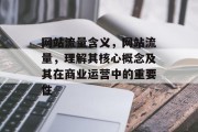 网站流量含义，网站流量，理解其核心概念及其在商业运营中的重要性