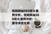 桂阳网站SEO优化案例分析，桂阳网站SEO优化案例分析: 一案中求优化路