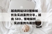 越南网站SEO策略解析及实战案例分享，越南 SEO，策略解析、实战案例与最佳实践