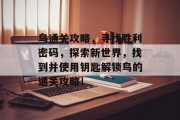 鸟通关攻略,寻找胜利密码,探索新世界,找到并使用钥匙解锁鸟的通关攻略!