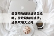 最强烧脑新挑战通关攻略,极致烧脑新挑战,通关攻略大公开 最强烧脑新挑战通关攻略,极致烧脑新挑战,通关攻略大公开