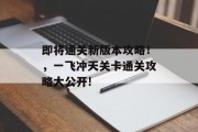 即将通关新版本攻略！，一飞冲天关卡通关攻略大公开!