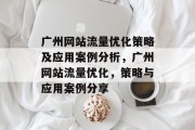广州网站流量优化策略及应用案例分析，广州网站流量优化，策略与应用案例分享