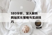 SEO分析，深入解析网站优化策略与实战技巧