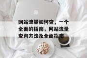 网站流量如何查，一个全面的指南，网站流量查询方法及全面指南