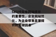 SEO对企业网站优化的重要性，企业网站优化，为企业带来显著提升的关键因素