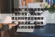 网站推广优化价格策略，低价法宝，网站推广优化的科学定价策略技巧，低价法宝，网站推广优化的价格策略技巧