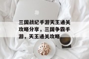 三国战纪手游天王通关攻略分享,三国争霸手游,天王通关攻略