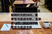 互联网时代，网站SEO的重要性与挑战，互联网时代的SEO，重要性与挑战分析，互联网时代，网站SEO的现状与挑战分析