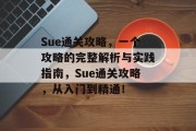 Sue通关攻略，一个攻略的完整解析与实践指南，Sue通关攻略，从入门到精通！