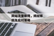 网站流量骤降,揭秘原因及应对策略 网站流量骤降,揭秘原因及应对策略