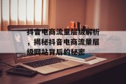 抖音电商流量层级解析，揭秘抖音电商流量层级网站背后的秘密