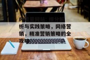 纯流量网站: 细分解析与实践策略，网络营销，精准营销策略的全攻略