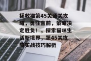拯救猫第45关通关攻略,勇往直前,策略决定胜负!,探索猫咪生活新境界,第45关攻略实战技巧解析