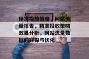 精准投放策略，网站流量报告，精准投放策略效果分析，网站流量数据的窥探与优化
